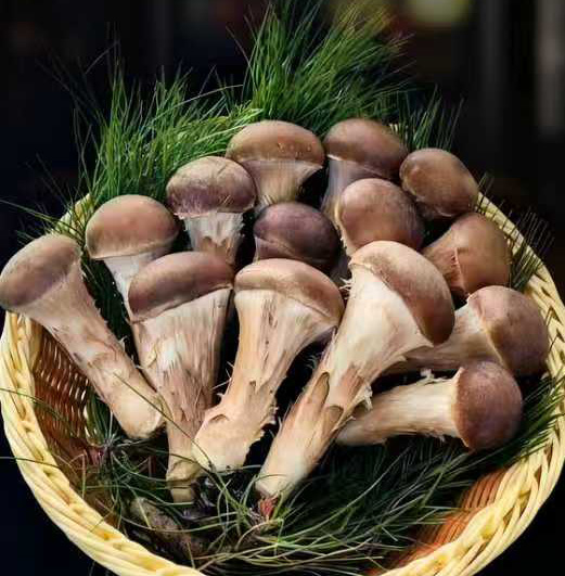 在水一方生态园介绍